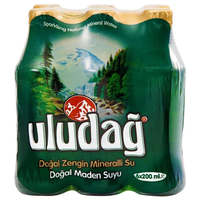 Uludağ Doğal Maden Suyu Sade 200 Ml 24 lü