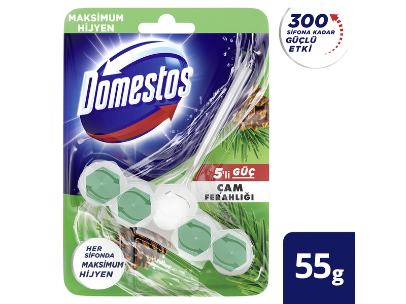 Domestos Tuvalet Blok 5Li Güç Çam Ferahlığı